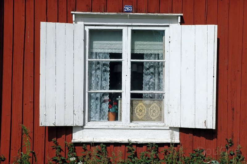 DSC_0109 1_out.jpg